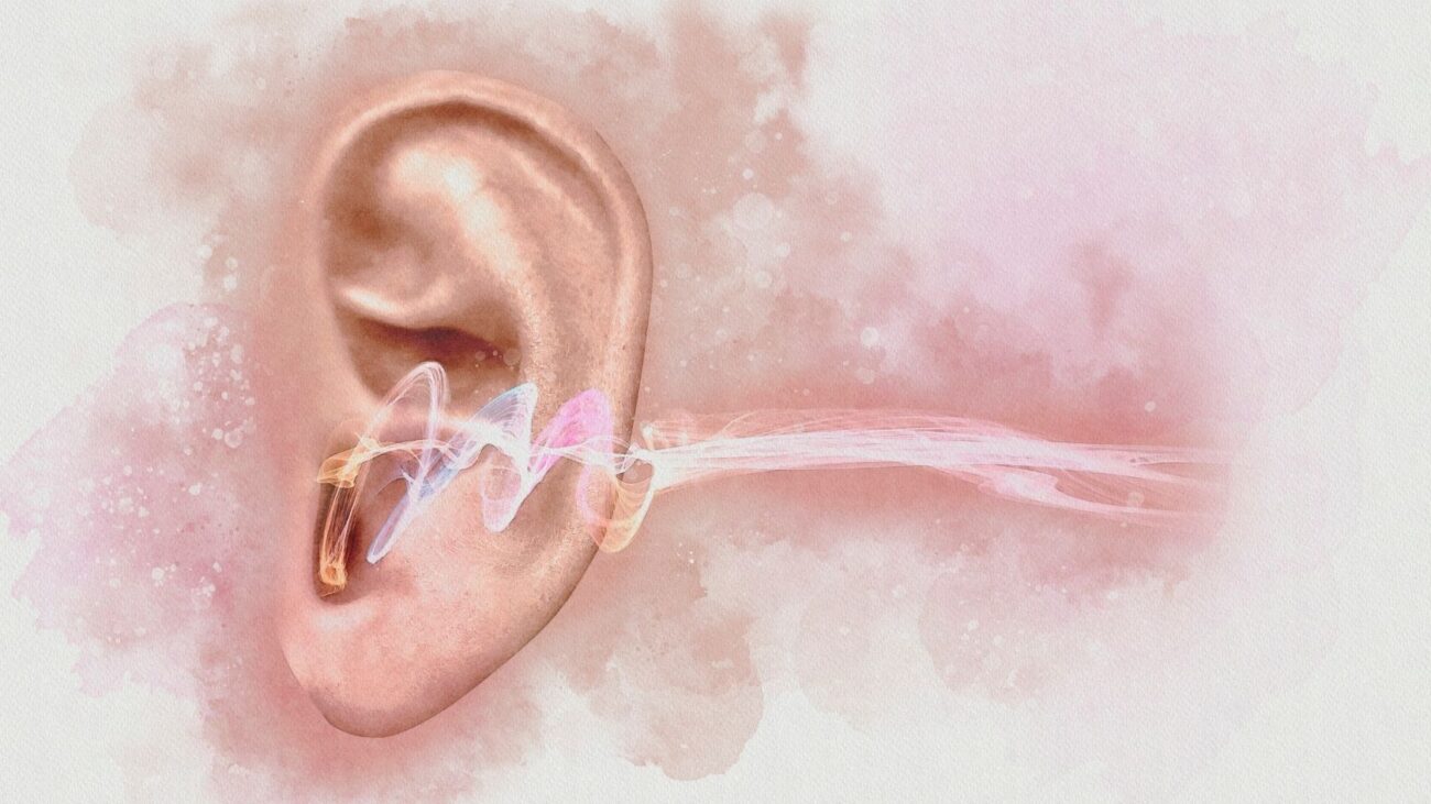 Korti Organı Nedir? İşitme Kaybıyla İlişkisi 3 korti organı ve işitme